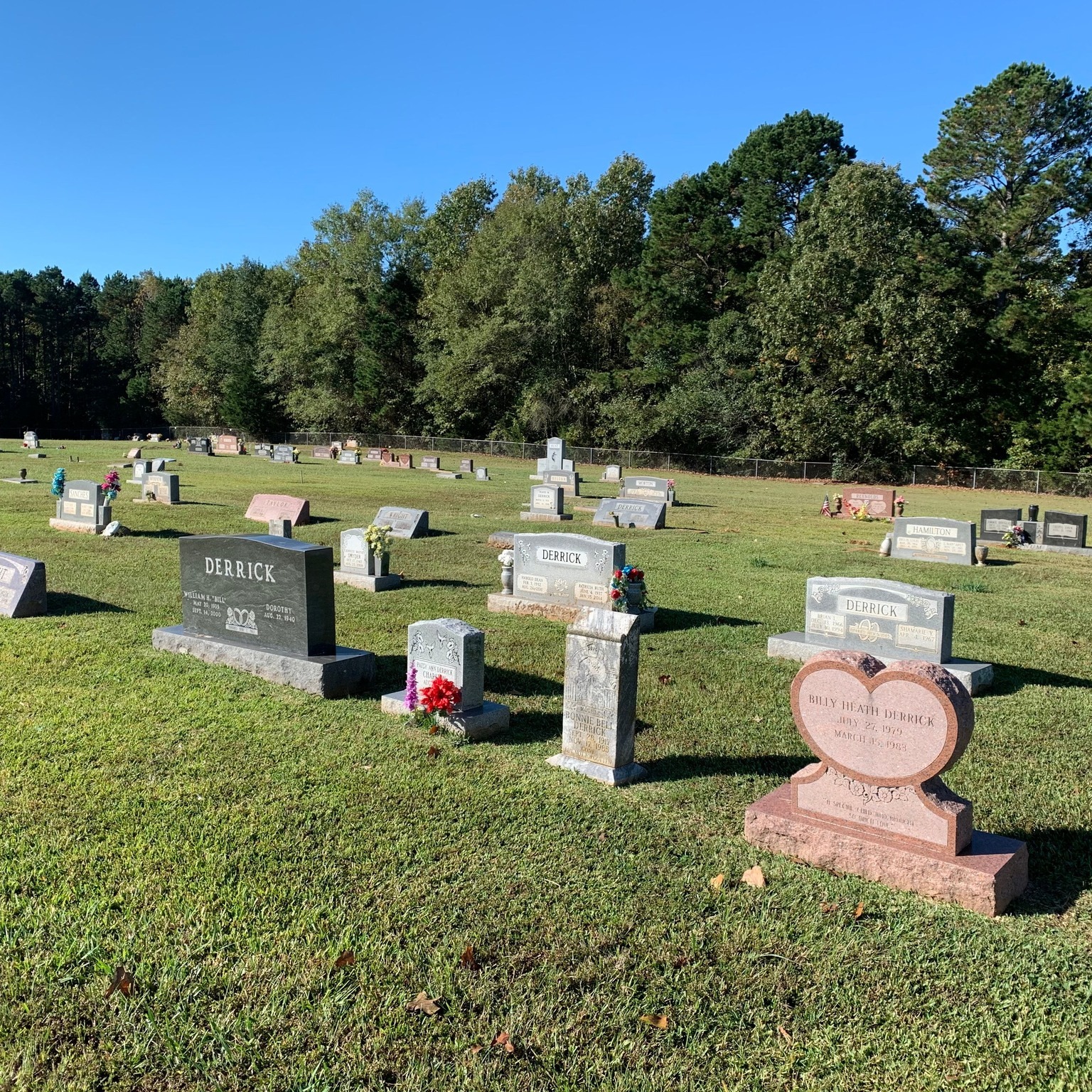 Cemetery headstones among green grass